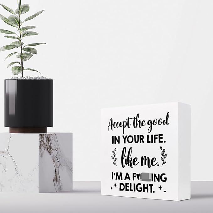 Accept the Good in Your Life Like Me I'm a Delight Wood Box Sign Desk Decor,Funny Positive Quote Wooden Block Plaque Sign for Home Office Shelf Table Decorations