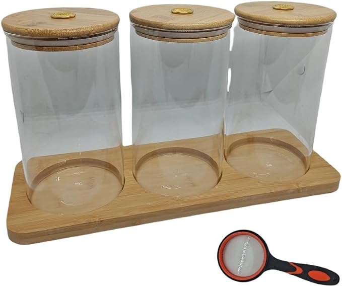Science Education Worm Compost Experiment bin, Waste Decomposition into composting kit, ant Farming Plant