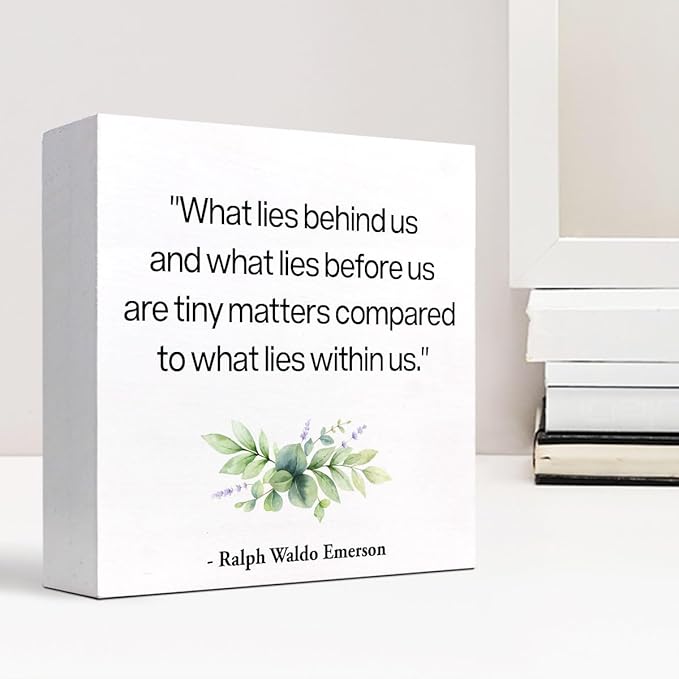 Inspirational Wood Box Sign Desk Decor,What Lies Before Us and What Lies Before Us Quote Wood Plaque Signs,Rustic Positive Wooden Block Sign Decor for Home Office Shelf Desk Table Decoration C1065