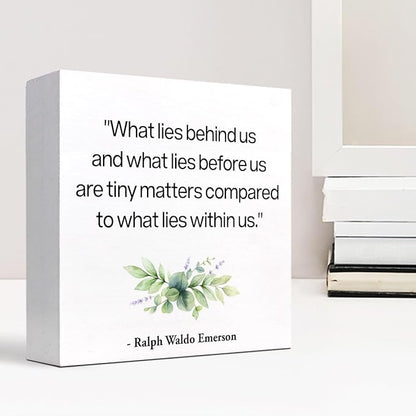 Inspirational Wood Box Sign Desk Decor,What Lies Before Us and What Lies Before Us Quote Wood Plaque Signs,Rustic Positive Wooden Block Sign Decor for Home Office Shelf Desk Table Decoration C1065