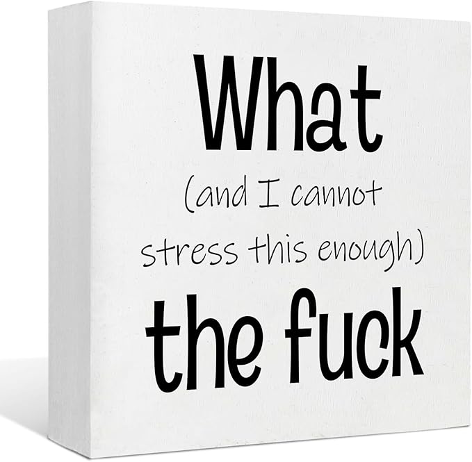 Funny Desk Decor Office Decorations for Work Funny Office Decor What and I Cannot Stress This Enough the Fuck Cool Office Decor Wooden Signs for Home Decor Office Desk Decor Funny Signs (5x5inch)