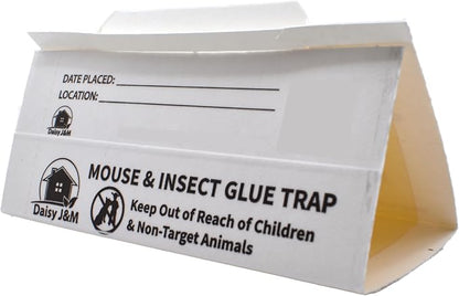 Daisy J&M E72 Glue Boards - 12 Count