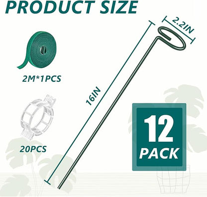 MAFONE 12 Pack 16inch Plant Support Stakes, Plant Stick Garden Single Stem Flower Support Stake Plant Cage Support Rings with 20pcs Plant Clips and Plant Ties for Tomato Orchid Lily Peony Rose Bean