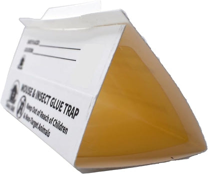 Daisy J&M E72 Glue Boards - 12 Count