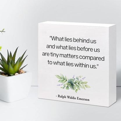Inspirational Wood Box Sign Desk Decor,What Lies Before Us and What Lies Before Us Quote Wood Plaque Signs,Rustic Positive Wooden Block Sign Decor for Home Office Shelf Desk Table Decoration C1065