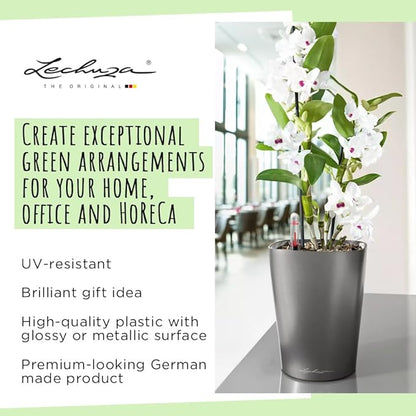 Lechuza 14900 Deltini Self-Watering Planter for Indoor and Outdoor Use, 6" x 6" x 7", White