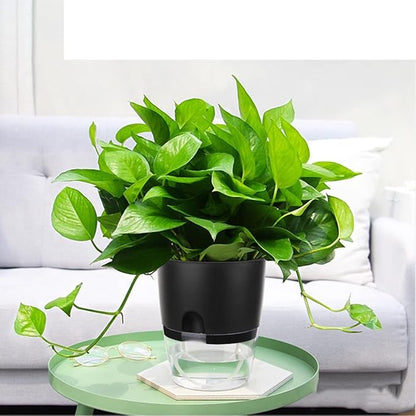 Vanavazon 6 Inch Self Watering Planter Pots for Indoor Plants, 3 Pack African Violet Pots with Wick Rope-Black