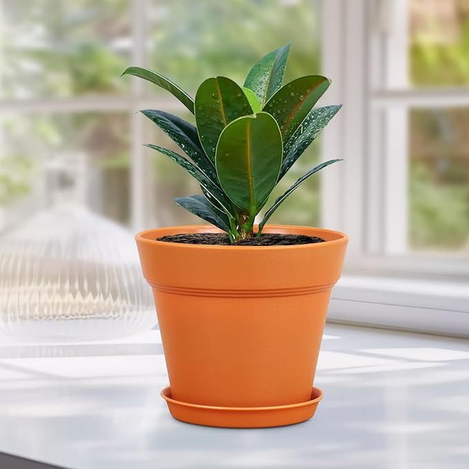 6 inch Plastic Nursery Pots, 16 Pack Plant Pots for Indoor Outdoor Plants, Flower Pots with Drainage Holes and Saucers, Decorative Seedling Starter Planters for House Plants, Terracotta