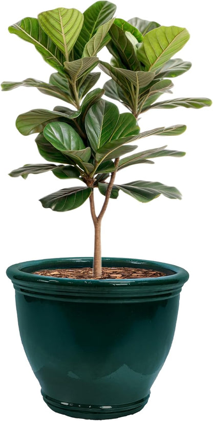 Sunnydaze Large Ceramic Plant Pot - Round Outdoor Glazed Ceramic Planter Pot with Drainage - Studio - Dark Green - 18.5"