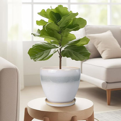 6.3 Inch Plant Pot - Ceramic Planters for Indoor Ourdoor Plants, Modern Succulent Pot, Round Planter with Drainage Hole and Saucer, Room Office Garden Home Decor, Plant Lover Gift, White-Grey