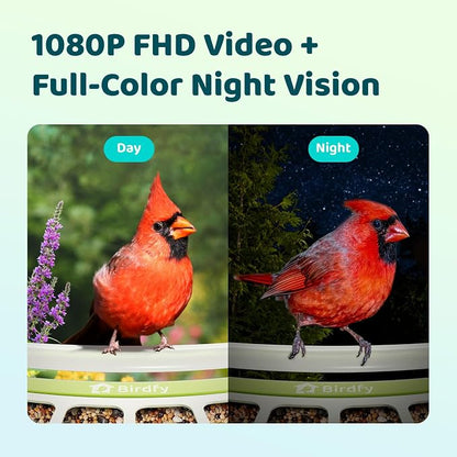 Birdfy Smart Bird Feeder with Camera, Durable Metal Feeders for Outdoors, Auto-Identify & Record Video, Instant Alert, Live Bird Watching Camera Solar, Gifts for Backyard Birder (AI Lifetime Free)
