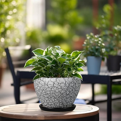 Ceramic Planter Pot - 6 Inch Plant Pot with Drainage Hole and Saucer, Succulent Pot Glaze Round for Indoor Outdoor Plants, White and Black