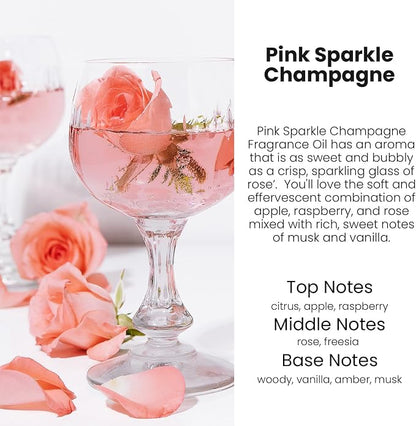HoogaLife Car Air Freshener Diffuser 2 Pack Hanging Air Freshener Diffuser - Pink Sparkle Champagne Fragrance Oil Air Diffuse r for Car, 45+ Days Long Lasting Fragrance Made in USA (P38 SP)