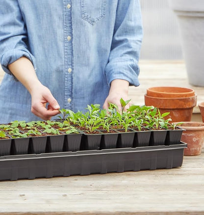 Burpee Self-Watering Seed Starter Tray, 72 Cells