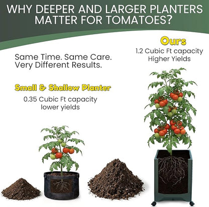 Tomato Planter Pot Tomato Box Raised Garden Bed 56.5" Tall Self-Watering and Water Indicator Planter for Tomato Outdoor Indoor Metal Trellis for Climbing Plants Large Reservoir-1 planter-not 2