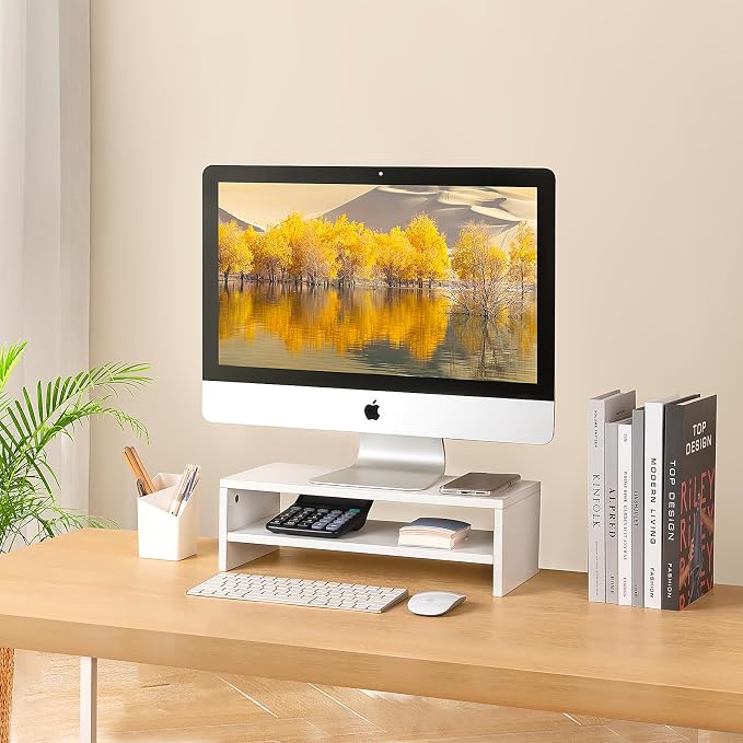 BEYGORM White Monitor Stand Riser for Desk,2 Tiers Wood Desk Shelf Computer Screen Stand with Storage for Desktop Laptop/Screen/TV/PC/Printer,Multifunctional Desktop Organizer 16.5 x 7.8 x 5.2 inch | Computer Screen Stand with Storage, For Desktop Lapt...