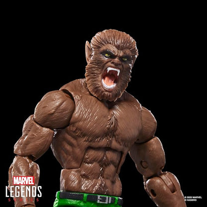 Marvel Legends Series Werewolf by Night, Marvel Comics Collectible 6-Inch Scale Action