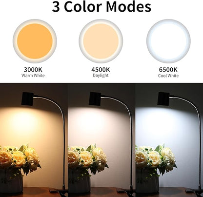 Dott Arts Desk Lamp,USB Clip On Light with 3 Color Modes,LED 10 Levels Brightness Reading Lamp, 360° Gooseneck Book Light,Eye-Care Reading Light for Home Office,Headboards Brown