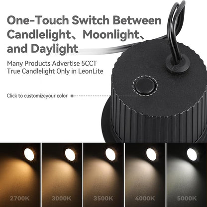LEONLITE 12-Pack 3W 5CCT Well Lights Landscape LED In Ground, 12-24V AC/DC Low Voltage, CRI90 IP67 Inground Well Lights Outdoor, Black Aluminum Housing, Embedded Parts Included