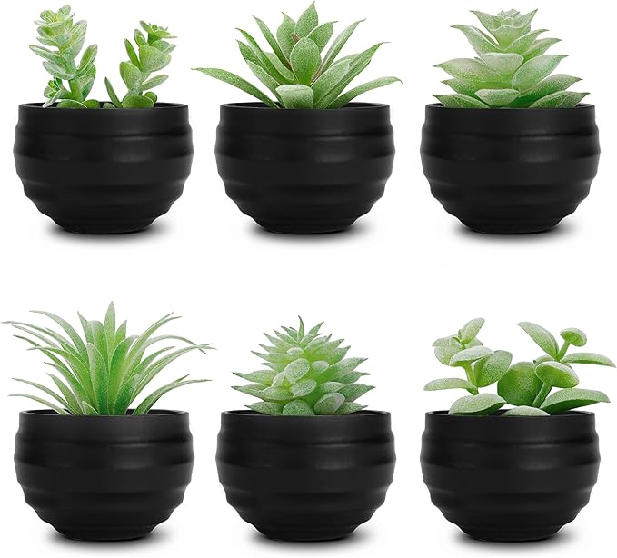 Der Rose Set of 6 Succulents Plants Artificial in Pots Small Fake Plants for Halloween Decorations Bedroom Living Room Office Shelf Black Bathroom Decor