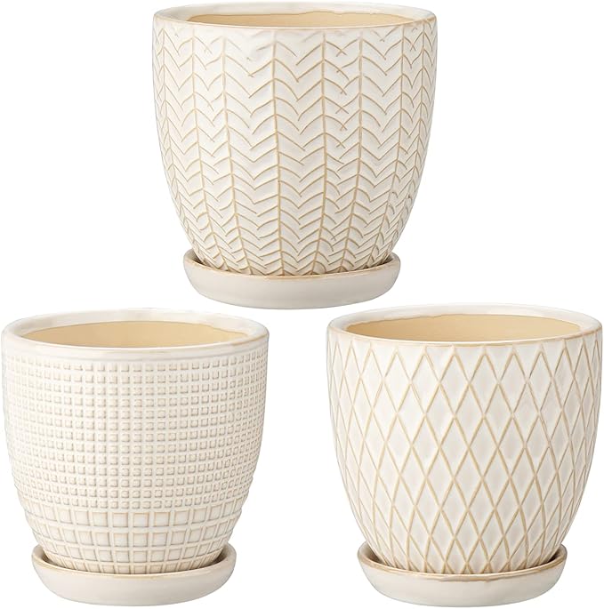 Oairse 4 inches Ceramic Planter Pots 3 Set of Small Round Flower Pots with Drainage Hole and Ceramic Tray for Succulents Cactus Indoor Outdoor Garden Home Windowsill