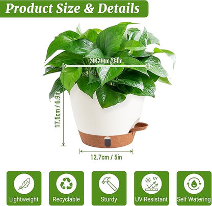 2 Pack 8 Inch Pots for Plants Indoor, Plastic Self Watering Planters with Drainage Holes, Water Level Indicator & Deep Reservoir, Decorative Flower Pots Indoor Outdoor Use (White