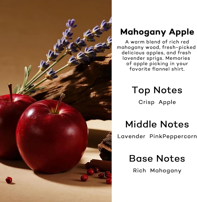 HoogaLife Car Air Freshener Diffuser 2 Pack Hanging Air Freshener Diffuser - Mahogany Apple Fragrance Oil Air D iffuser for Car, 45+ Days Long Lasting Fragrance Made in USA （MA112）