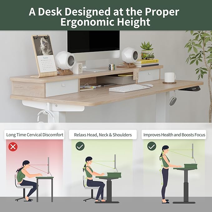 FEZIBO 55 x 24 Inch Height Adjustable Electric Standing Desk with Double Drawer, Stand Up Desk with Storage Shelf, Sit Stand Desk, Maple