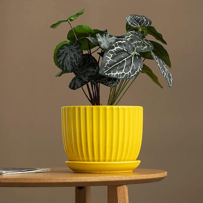 Ton Sin Ceramic Flower Pots,Yellow Plant Pots for Indoor Plants,4.1+5.1+6.5 inch Ceramic Plant Pots with Tray,Medium Indoor Planters for Aloe Cactus Decorative Pots with Drainage Hole (Set of 3)