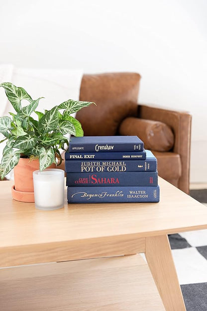 Colored Real Decorative Book Set - Decor Books for Book Shelf Decor, Home Decor for Shelves & Bookcases - Perfect for Book Decor, Decorative Books for Home Decor, & Books for Decor (Black)