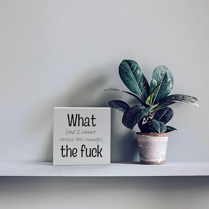 Funny Desk Decor Office Decorations for Work Funny Office Decor What and I Cannot Stress This Enough the Fuck Cool Office Decor Wooden Signs for Home Decor Office Desk Decor Funny Signs (5x5inch)