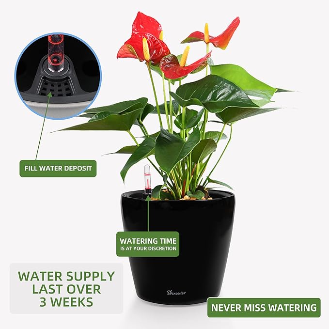 Dexceder 11x10 Inches High Gloss Self Watering Planter Indoor Outdoor, Inner Pot Design, Thickened Table Flower Plant Pot with Water Level Indicator (Black)