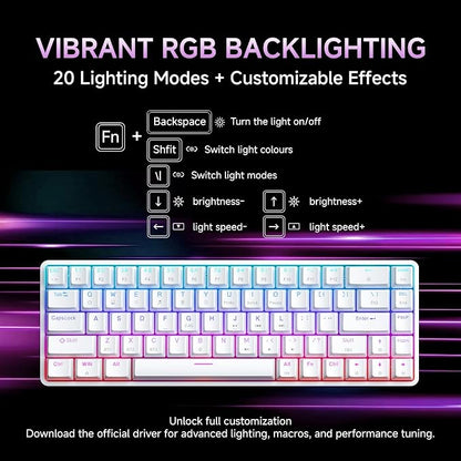 DIERYA DK68 60% Wireless Mechanical Gaming Keyboard, 3-Mode, Bluetooth 5.0/2.4G/USB-C, RGB Backlit, 68-Key Compact Mini for Windows, Mac, Linux - Clicky Blue Switch - White
