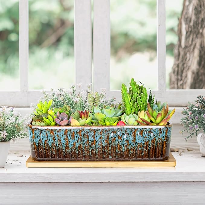 Succulent Pots - 12 Inch Large Succulent Planters with Drainage Tray, Window Sill Planter, Long Rectangle Ceramic Pots for Indoor Cactus Plants Shallow Bonsai Window Box for Home Garden Decor