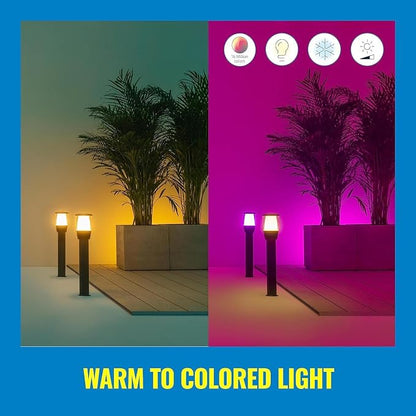 WiZ Elpas Bollard Smart WiFi Outdoor LED Path Light Starter Kit, Compatible with Alexa, Google Assistant and Siri Shortcuts, Bluetooth Compatible, No Hub Required