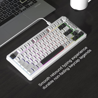 MageGee 80% Gaming Keyboard, RGB Backlit Wired Mechanical Feel Keyboard with Volume Knob, 80 Keys Compact USB Keyboard, 19-Key Rollover, Multimedia Keys for PC, Computer, Laptop, Windows