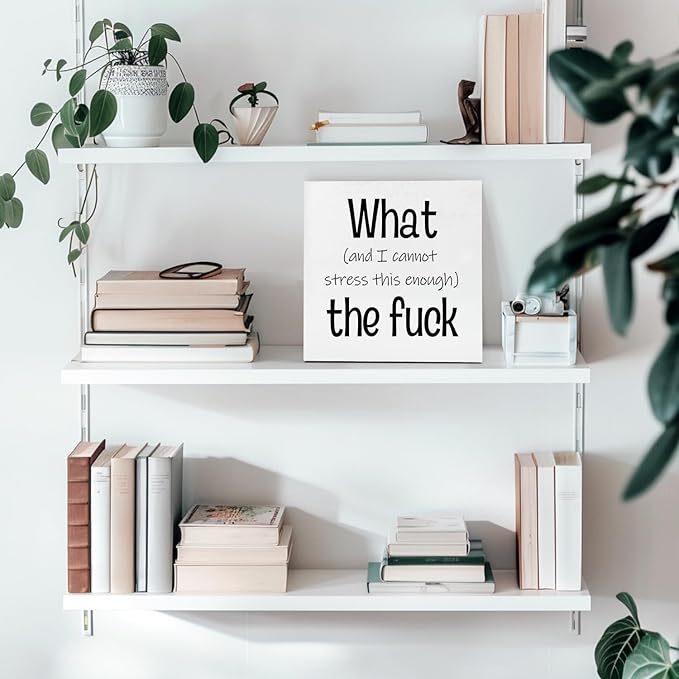 Funny Desk Decor Office Decorations for Work Funny Office Decor What and I Cannot Stress This Enough the Fuck Cool Office Decor Wooden Signs for Home Decor Office Desk Decor Funny Signs (5x5inch)