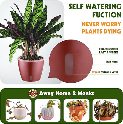 Self Watering Pots for Indoor Plants, 4-Pack 6.7'' Self Watering Planter with Drainage Holes, Small African Violet Pots with Water Indicator, Clear Wick Orchid Pot, Rose Gold