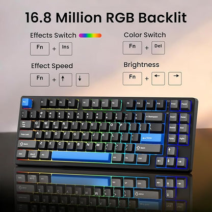 Kisnt KN85 Wireless Mechanical Keyboard, 75% Layout, Bluetooth/2.4GHz/USB-C, Custom RGB Backlit, Hot-Swappable Linear Switch, Creamy Sound for Gaming/Typing (Textured Black)