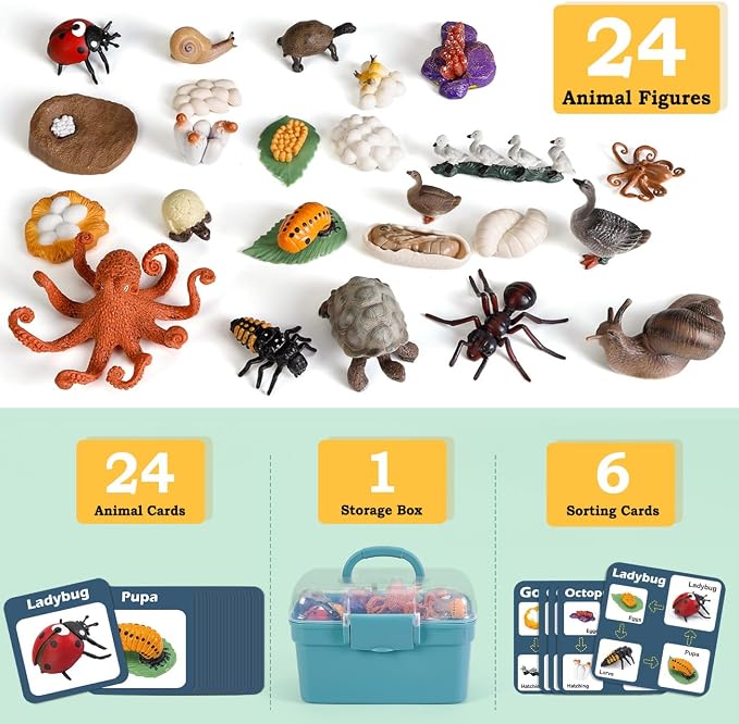 Life Cycle Toys for Kids - Life Science Education Kits: Ladybug, Ants, Goose, Land Turtle, Snail, Octopus - 24 Pieces Animal Models STEM Learning Toys for 3-10 Year Old