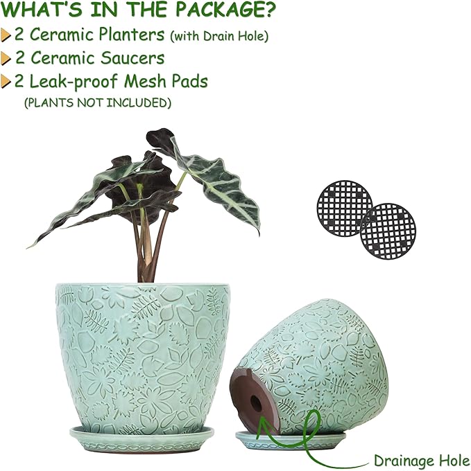 8 Inch + 6 Inch Plant Pots for Indoor Plants, Ceramic Planter with Drainage Hole and Saucers, Garden Pots for Succulent, Orchid, and Flower, Set of 2