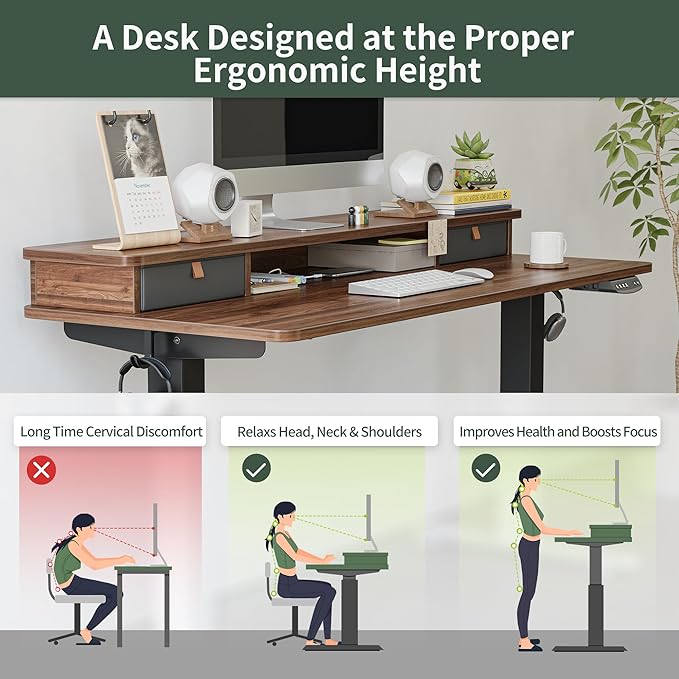 FEZIBO 55 x 24 Inch Height Adjustable Electric Standing Desk with Double Drawer, Stand Up Desk with Storage Shelf, Sit Stand Desk, Blcak Walnut