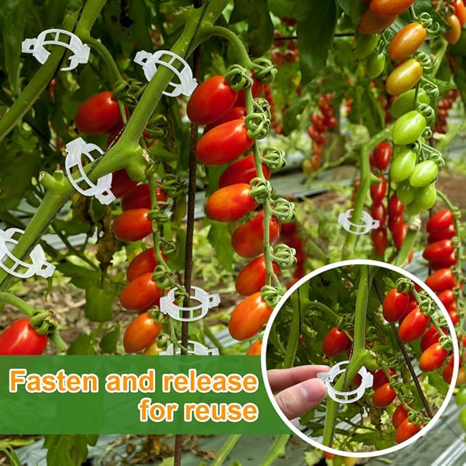 200 Pcs Plant Support Garden Clips, Tomato Clips, Crop Clips for Vine Vegetables, Fixing Tomato, Sweet Pepper, Eggplant, Makes Plants Grow Upright and Healthier