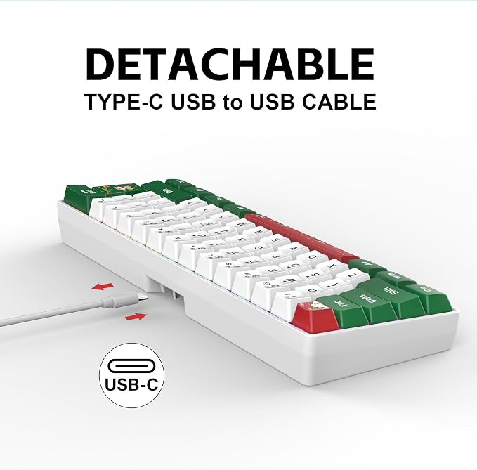Snpurdiri 60% Wired Gaming Keyboard, RGB 61-Key (Red Green White) | Backlit Small Ultra-Compact 60 Percent Gaming Keyboard for PC/Mac Gamer, Typist, Travel, Easy to Carry on Business Trip