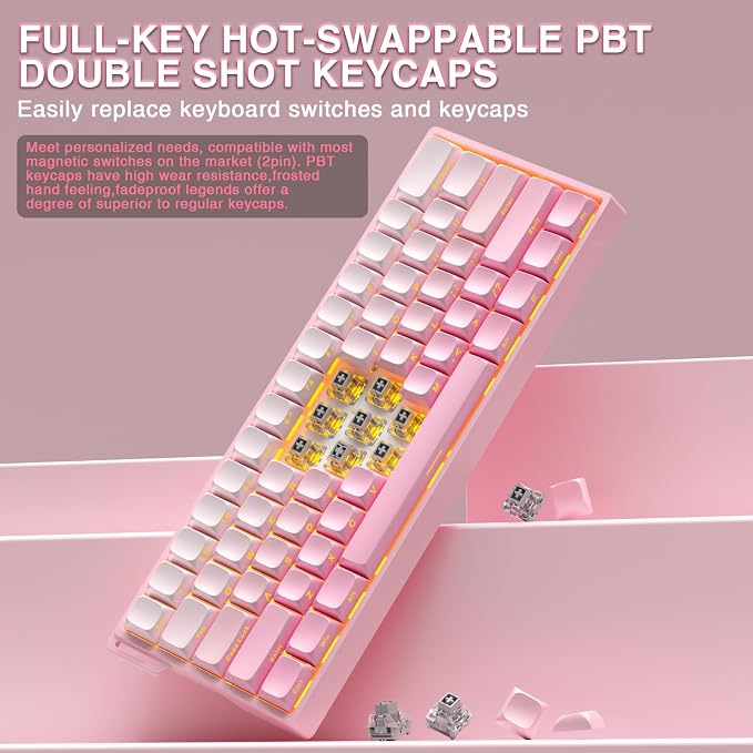 Aula WIN60 HE - 60% Mechanical Gaming Keyboard Wired, Hall Effect Magnetic Switch Hot Swappable,8000 Hz Polling Rate, RGB Keyboard 60 Percent Compact Design for PC (Gradient Pink)
