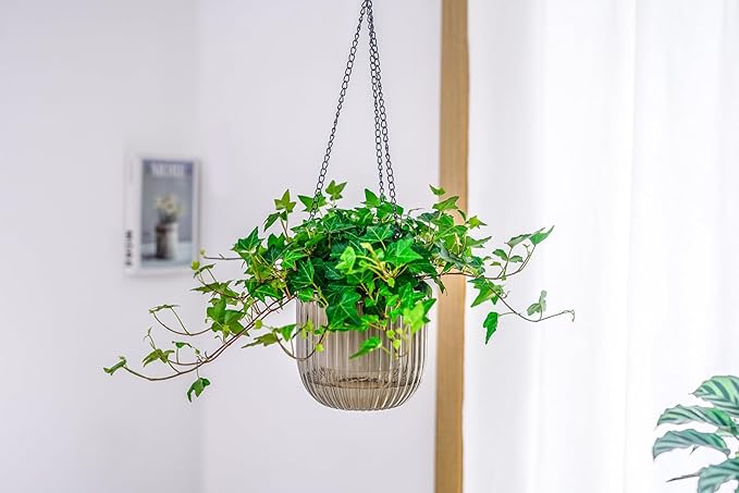Melphoe 2 Pack Self Watering Hanging Planters Indoor Flower Pots, 6.5 Inch Outdoor Hanging Plant Pot Basket, Plant Hanger with 3Hooks Drainage Holes for Garden Home (Gray)