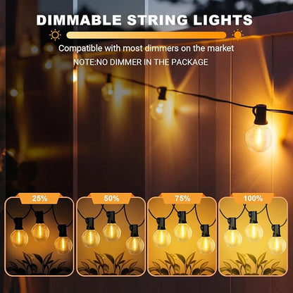 LAMPHOME LED Outdoor String Light, 100 Feet Patio Lights with 50+2 Edison Shatterproof Bulbs(2 Spare), UL Waterproof Outside Lights connectable,Dimmable for Backyard Porch Decor