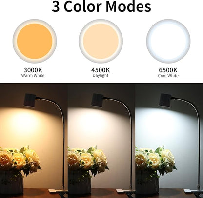Dott Arts Desk Lamp,USB Clip On Light with 3 Color Modes,LED 10 Levels Brightness Reading Lamp, 360°Gooseneck Book Light,Eye-Care Reading Light for Home Office,Headboards White…