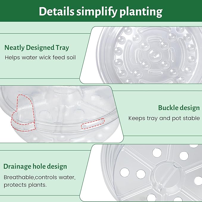 12 Pack 6.5 Inch Clear Self Watering Plant Pots with Bottom Water Tray & Watering Rope, Transparent Nursery Pots with Drainage for Seedlings, Herbs, and Houseplants