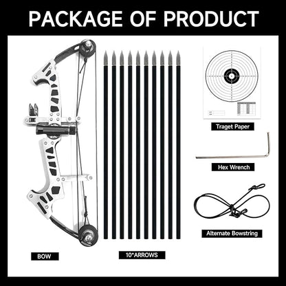 Archery Bow Set Left and Right Hand Compound Bow Hunting Bow Metal Material Catapult RH/LH for Practice Archery